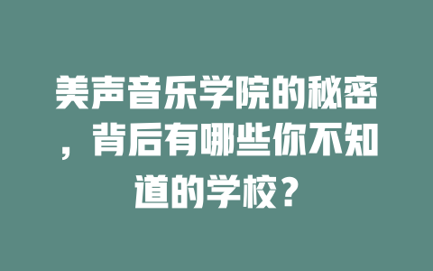 美声音乐学院的秘密，背后有哪些你不知道的学校？