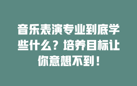 音乐表演专业到底学些什么?培养目标让你意想不到!