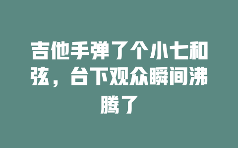 吉他手弹了个小七和弦,台下观众瞬间沸腾了