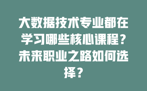 大数据技术专业都在学习哪些核心课程?未来职业之路如何选择?