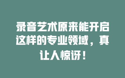 录音艺术原来能开启这样的专业领域,真让人惊讶!