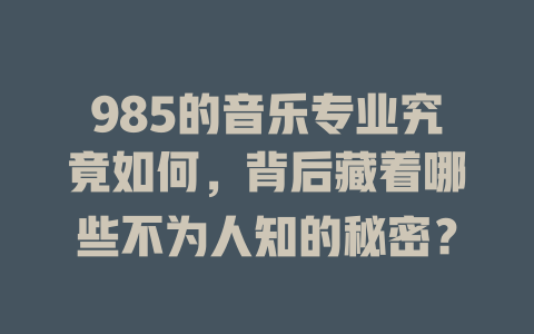 985的音乐专业究竟如何,背后藏着哪些不为人知的秘密?